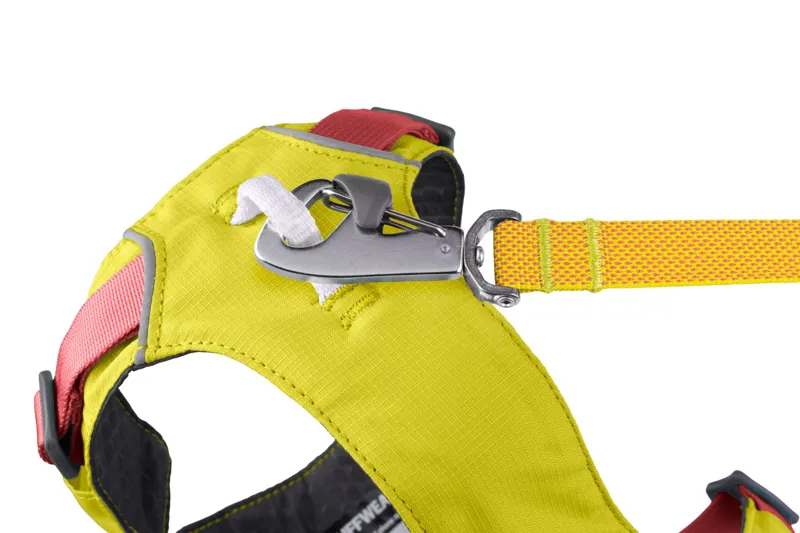 Ruffwear Flagline Dog Harness in Lichen Green-4